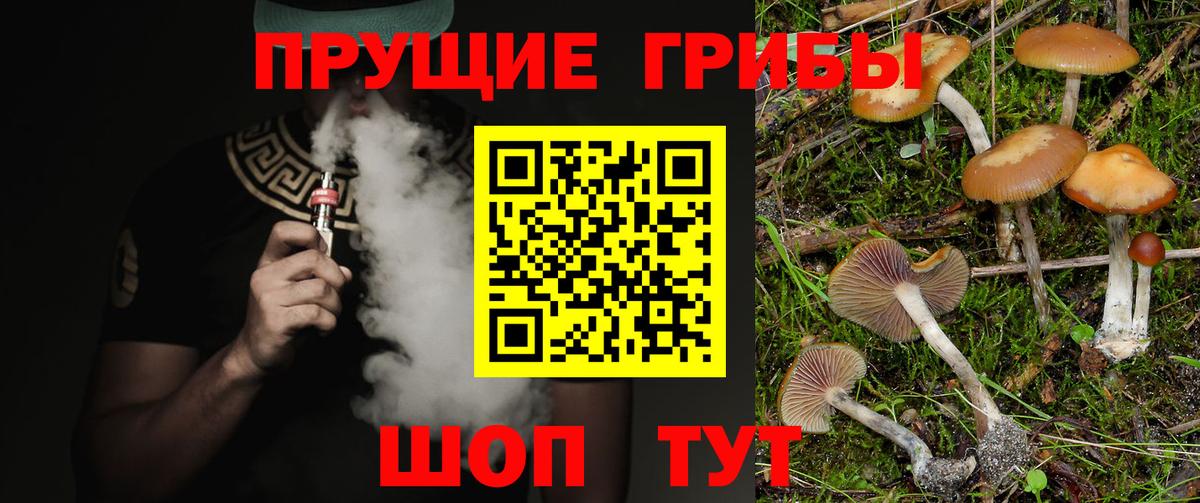 Псилоцибиновые грибы ЛСД Каменск-Уральский
