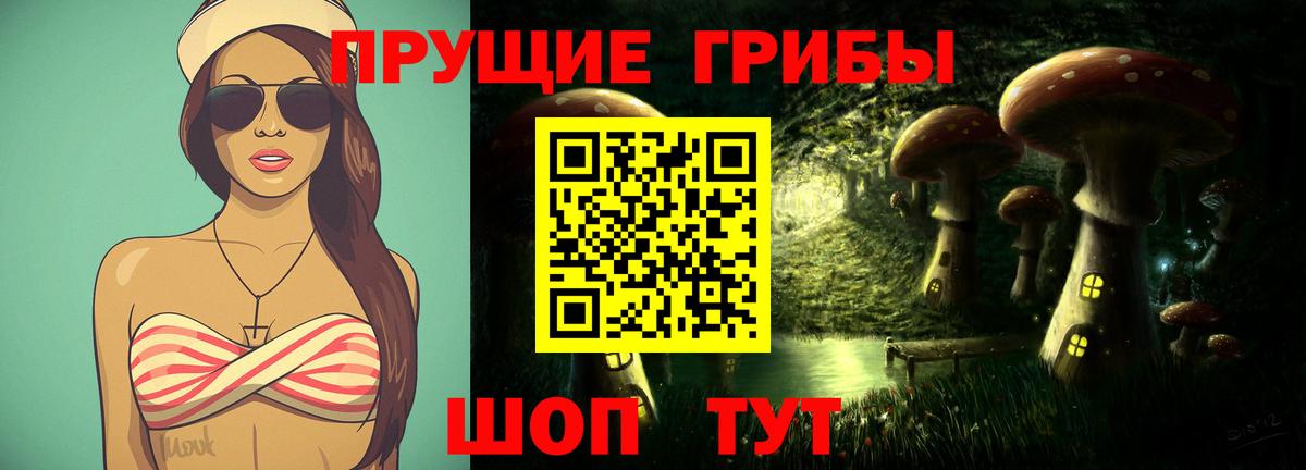 Каменск-Уральский  Галлюциногенные грибы прущие грибы  Вход с VPN 